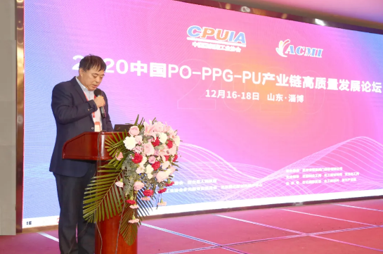 山東藍(lán)星東大有限公司總工程師、總經(jīng)理助理郭輝