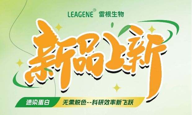 最新力作【考馬斯亮藍(lán)快速染色液（免脫色版）】，正式加入我們的產(chǎn)品家族！